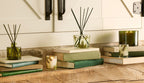 Frasier Fir® Pine Needle Reed Diffuser