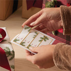 Frasier Fir? Giftwrap Bundle