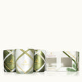 Frasier Fir? Frosted Plaid Votive Trio