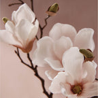 Magnolia Willow All-Purpose Cleaning Concentrate