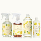 Lemon Leaf Cleaning Bundle