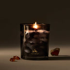 Noir Woods 6.5 oz Poured Candle